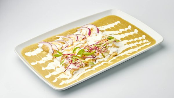 Viajar en avión con tu mascota: la guía completa para un viaje seguro y cómodo